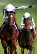 Epsom Derby Runners Form